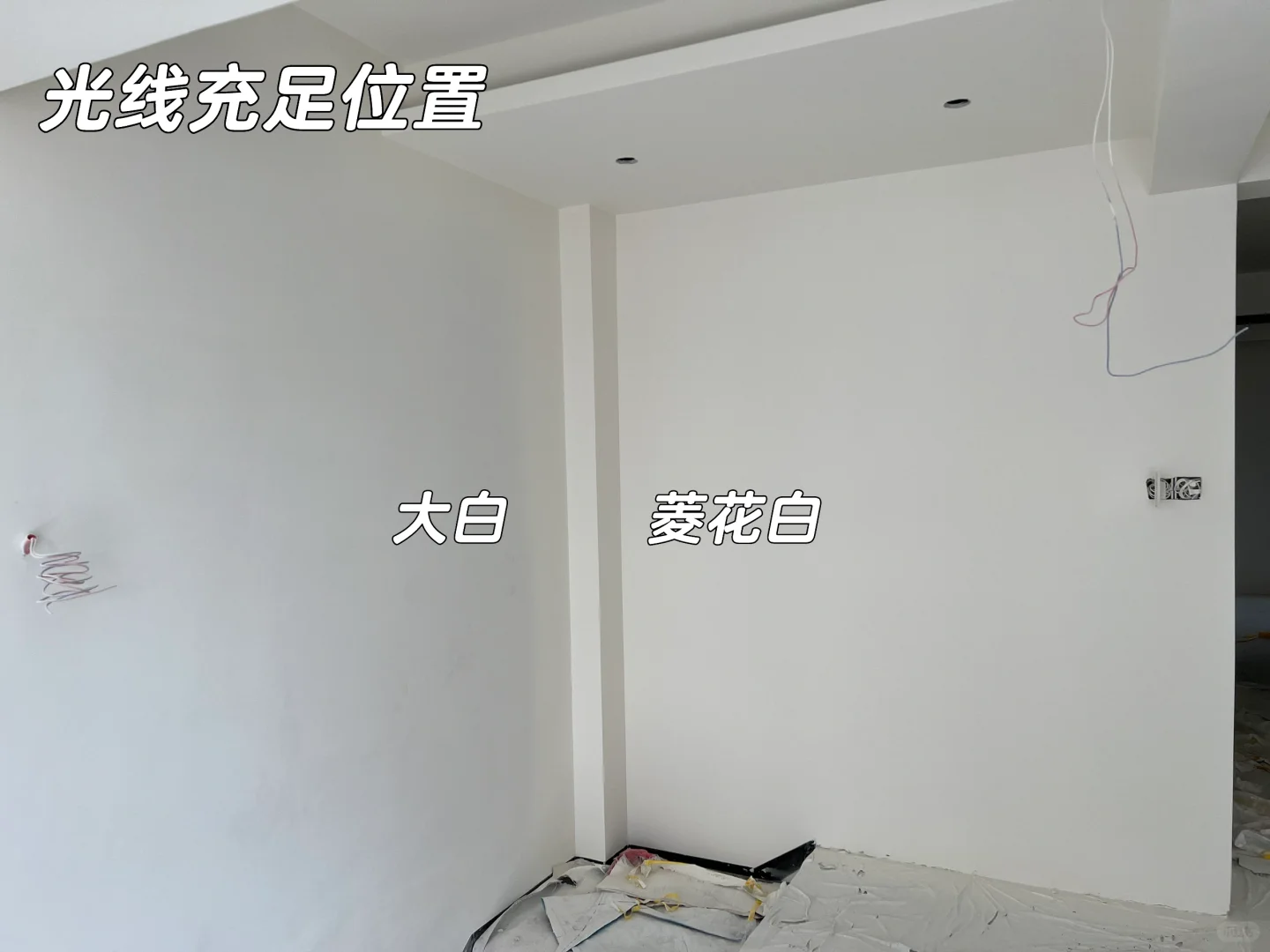 是我心心念念的菱花白没错了