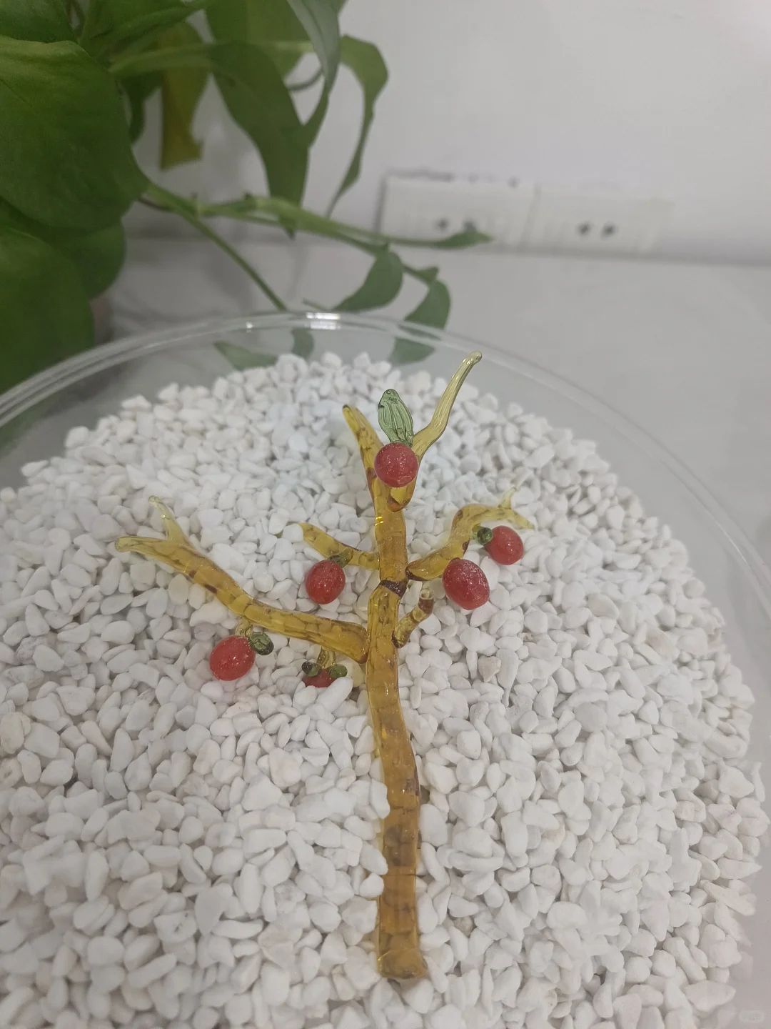 烧玻璃客作小分享、不限品不限量！