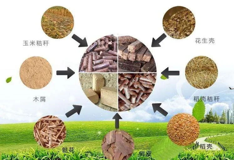 生物炭:助力碳汇,守护地球家园碳汇