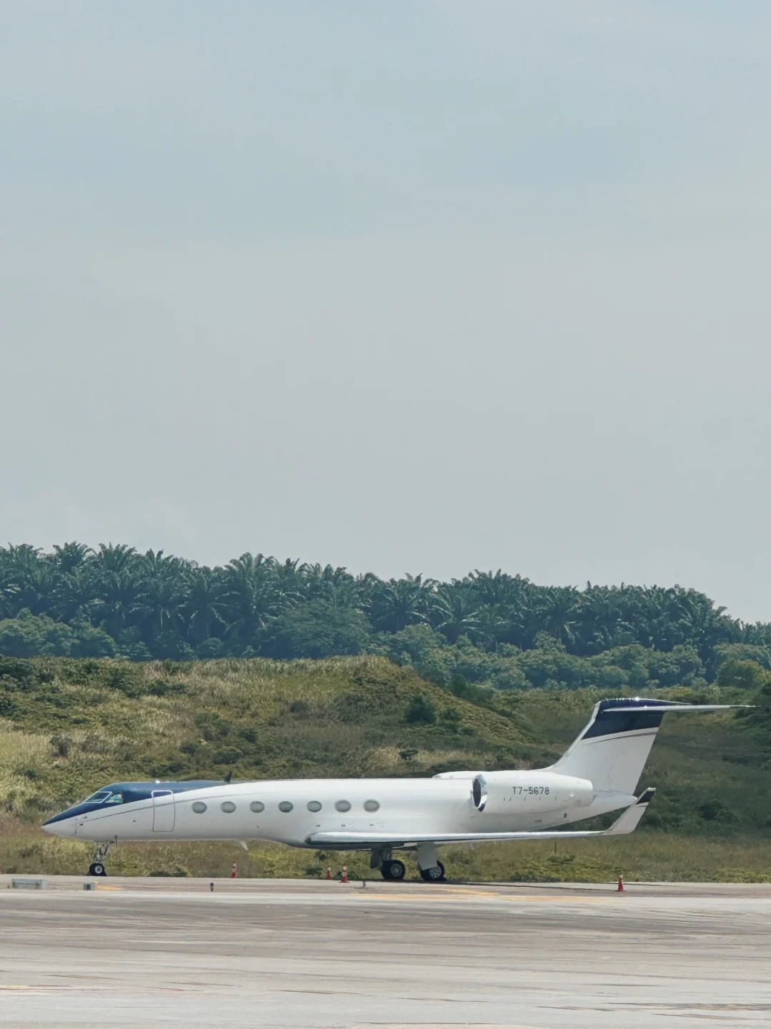 又有大飞机看了