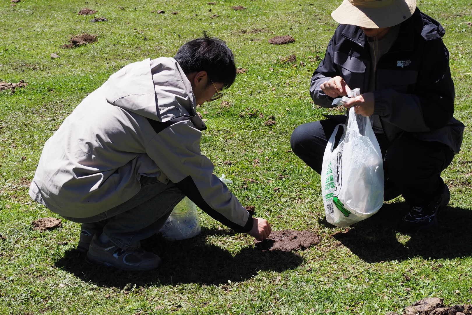 那是一条从雏鸡到牦牛的兽医路