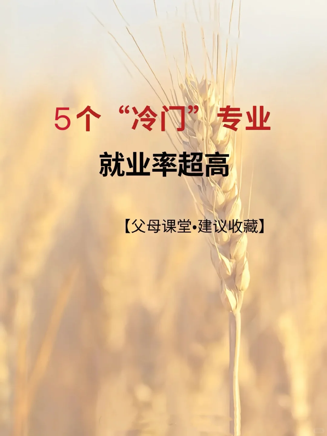 5个“冷门”专业,就业率超高,您必须知道