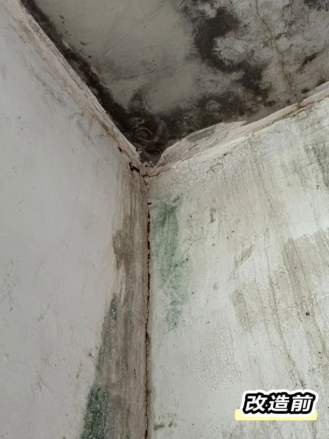 花1天把老家墙翻新，花费不大，但比较废人