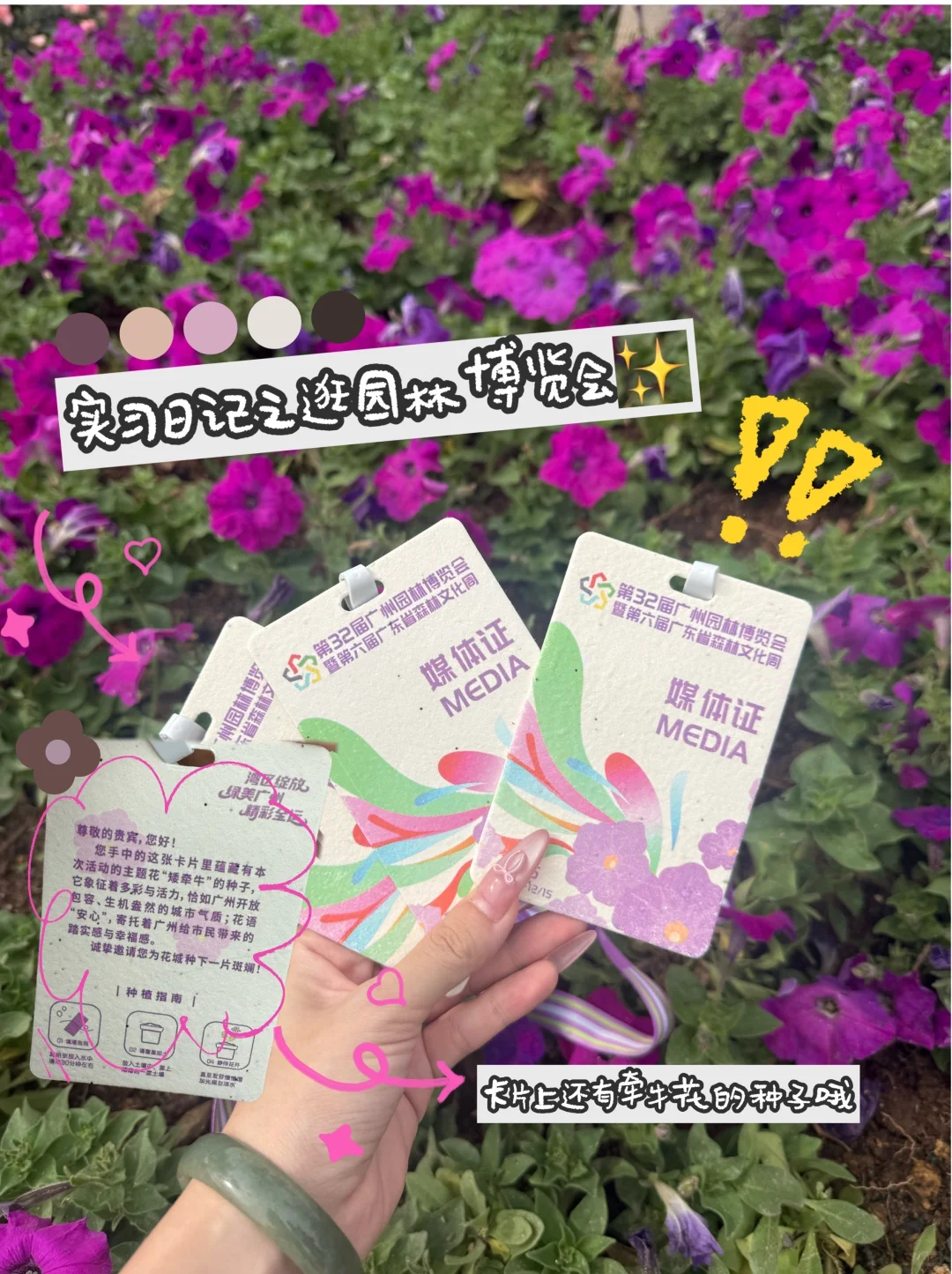 出片又舒服攻略!来广州园博会吃雪糕拍照照