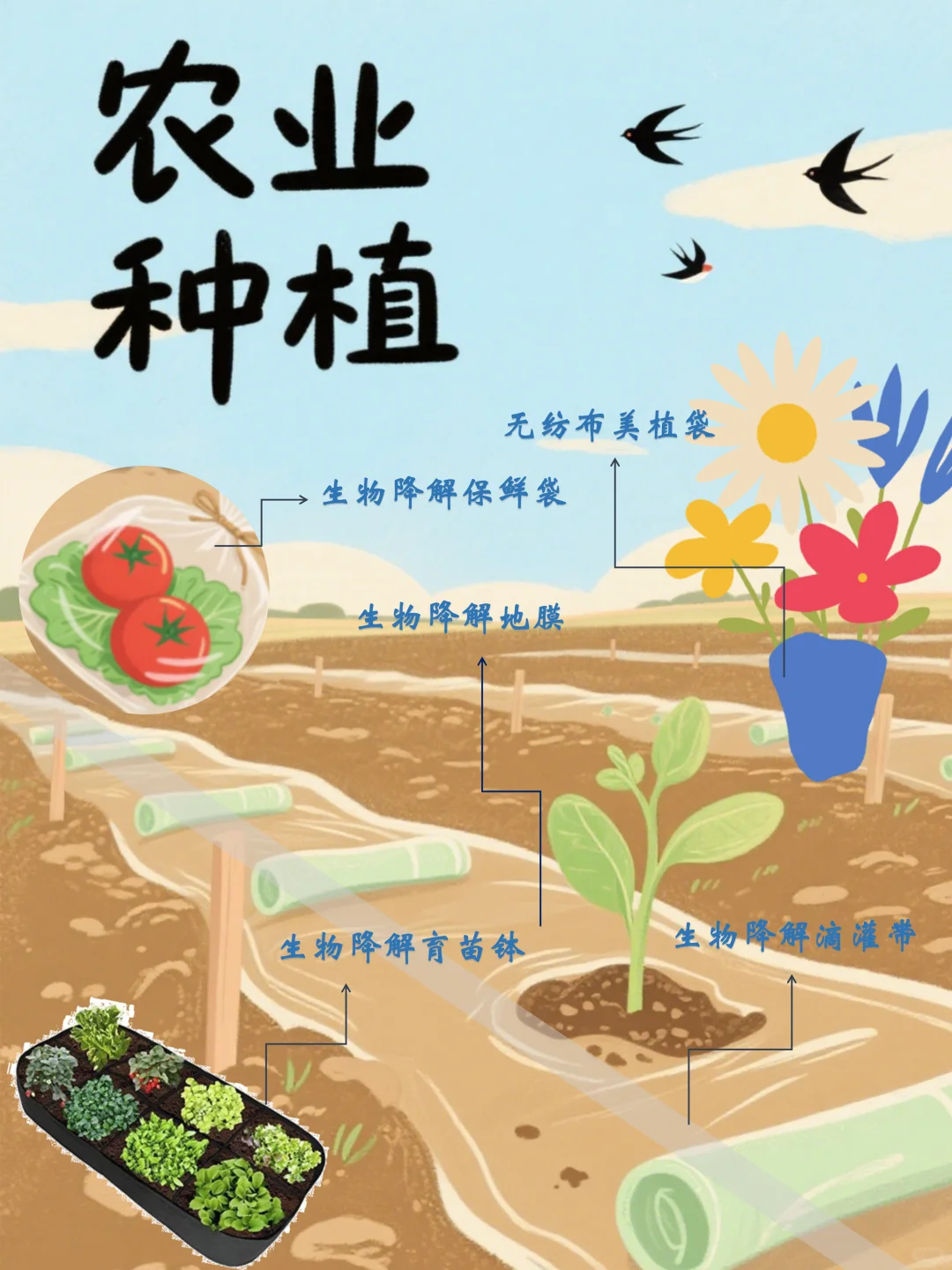 环保党狂喜!这些生物降解好物藏在生活各处