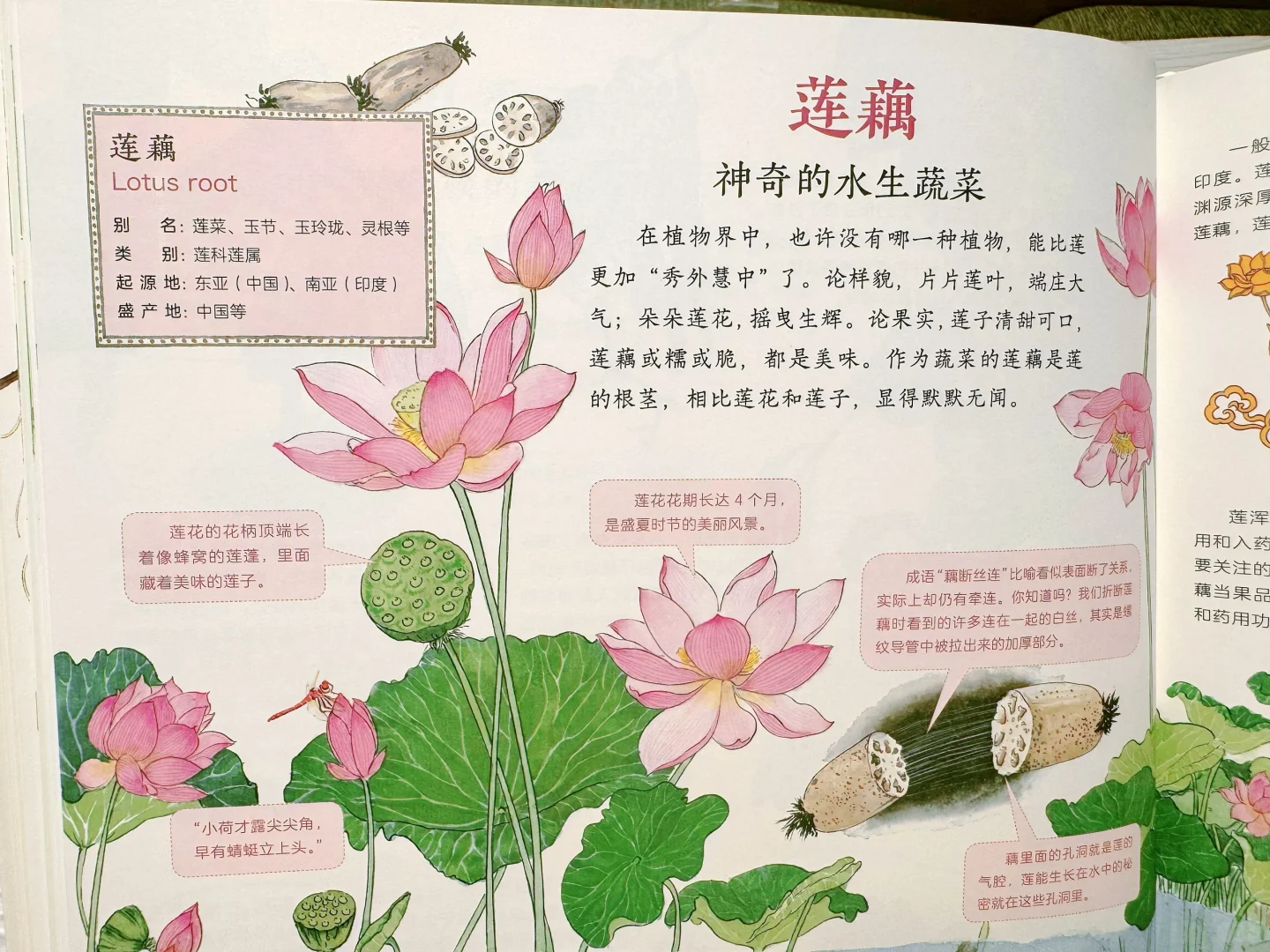 ? 它是「衣食无忧」时代最好的感恩教育。