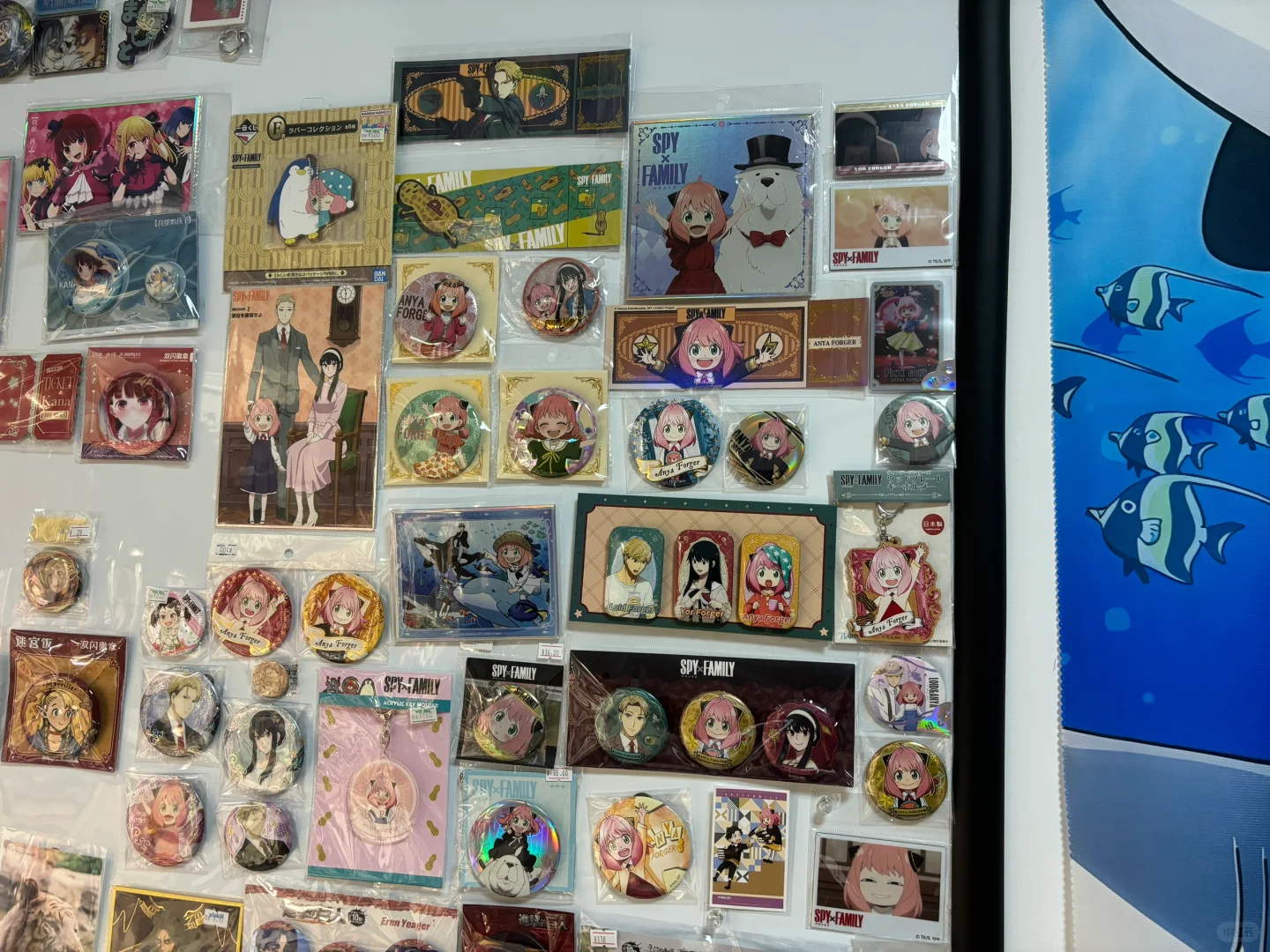 最近初步入手阿尼亚GK，顺便展示所有阿尼亚