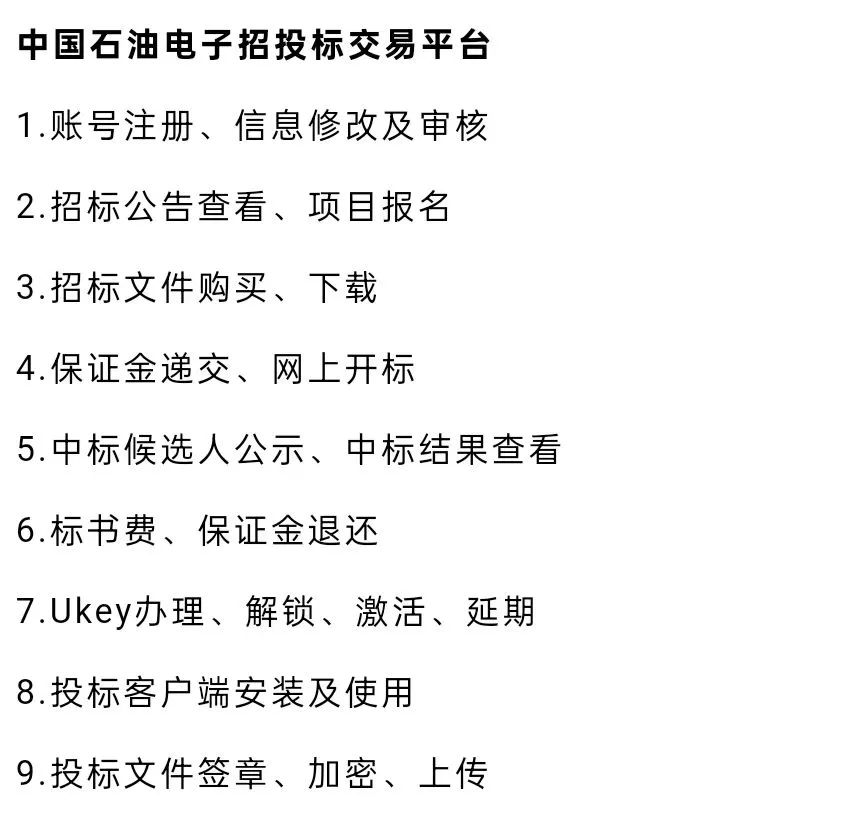 中石油电子招投标平台操作流程