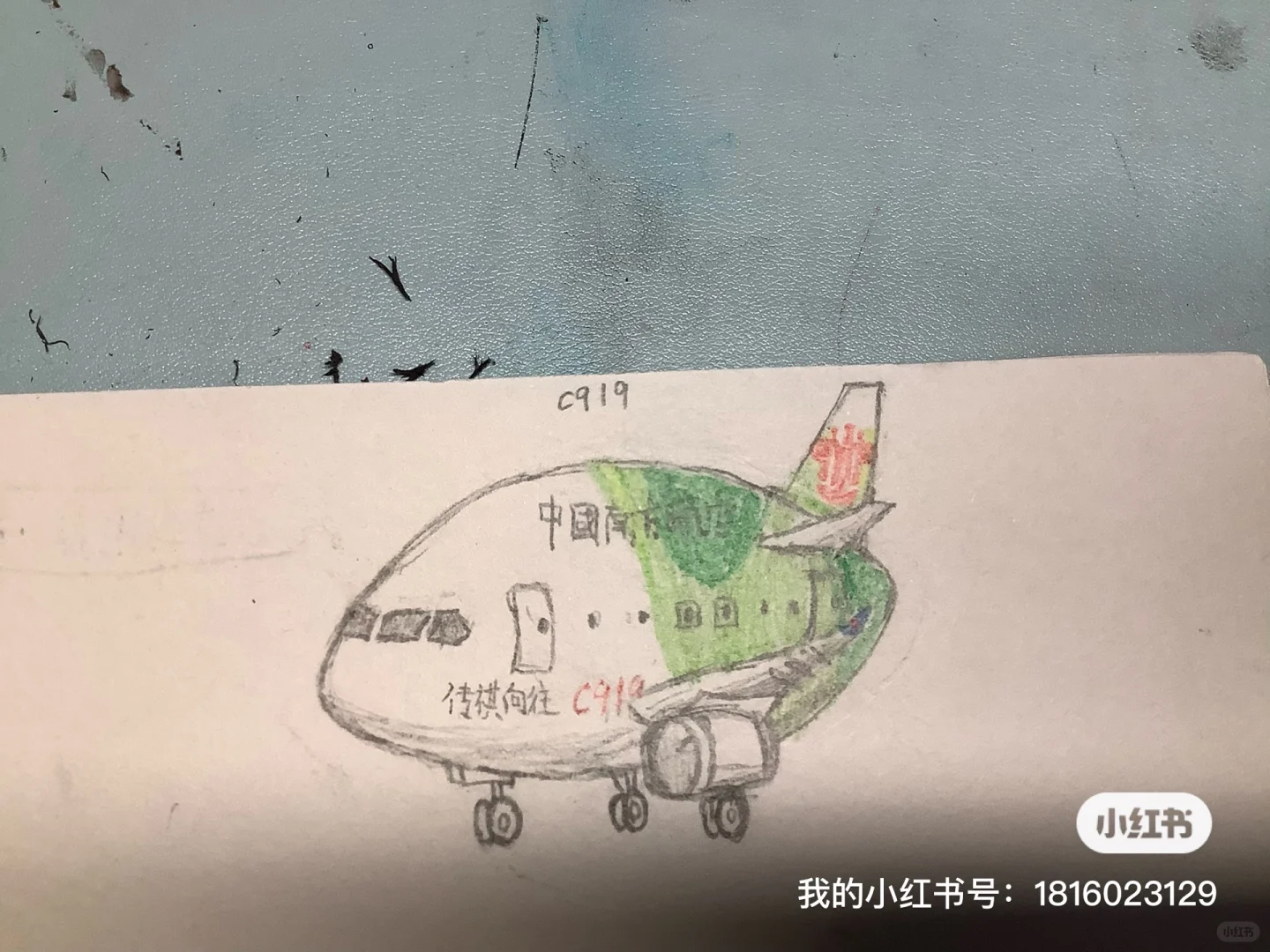 这么多飞机幼仔，确定不来看看？