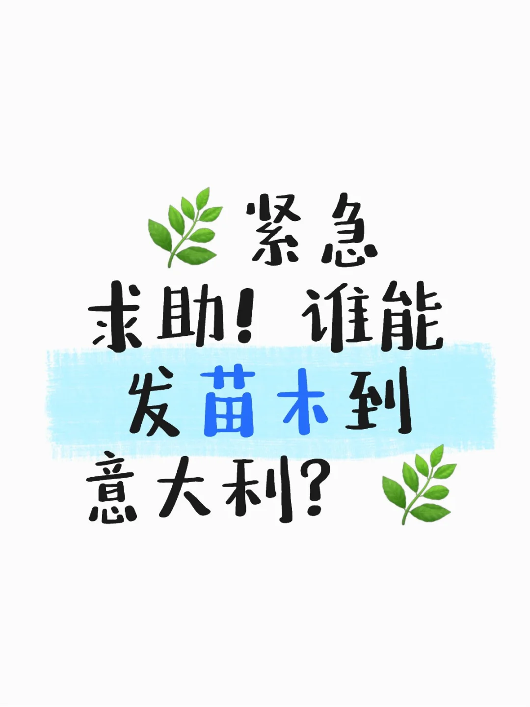 ? 紧急求助！谁能发苗木到意大利？ ?