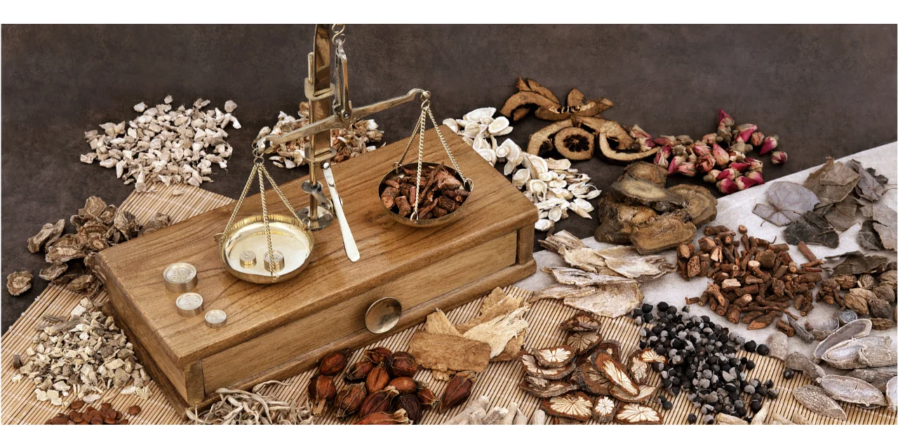 2024年中东中医药材料大会