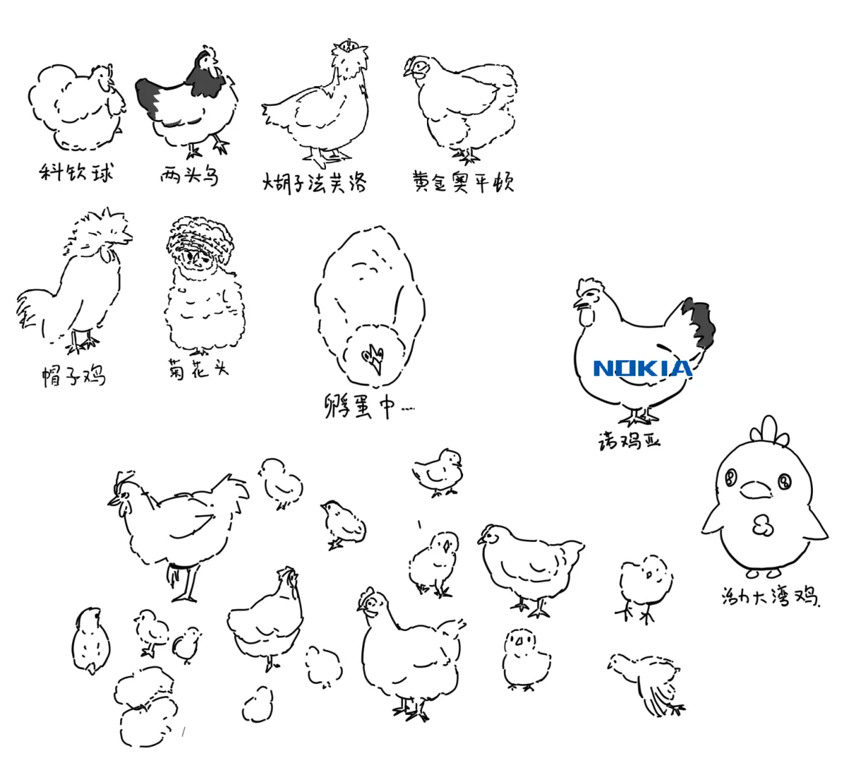 我去不了宠物鸡展我一直在哭