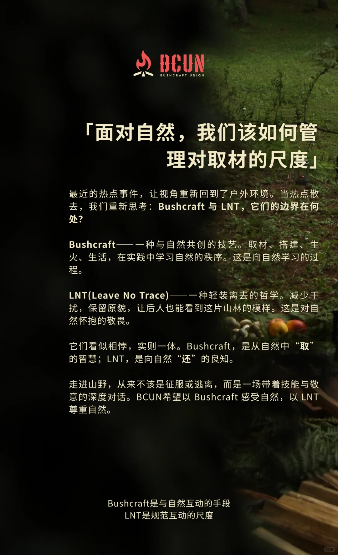BCUN入林手册 | 10条Bushcraft环保守则
