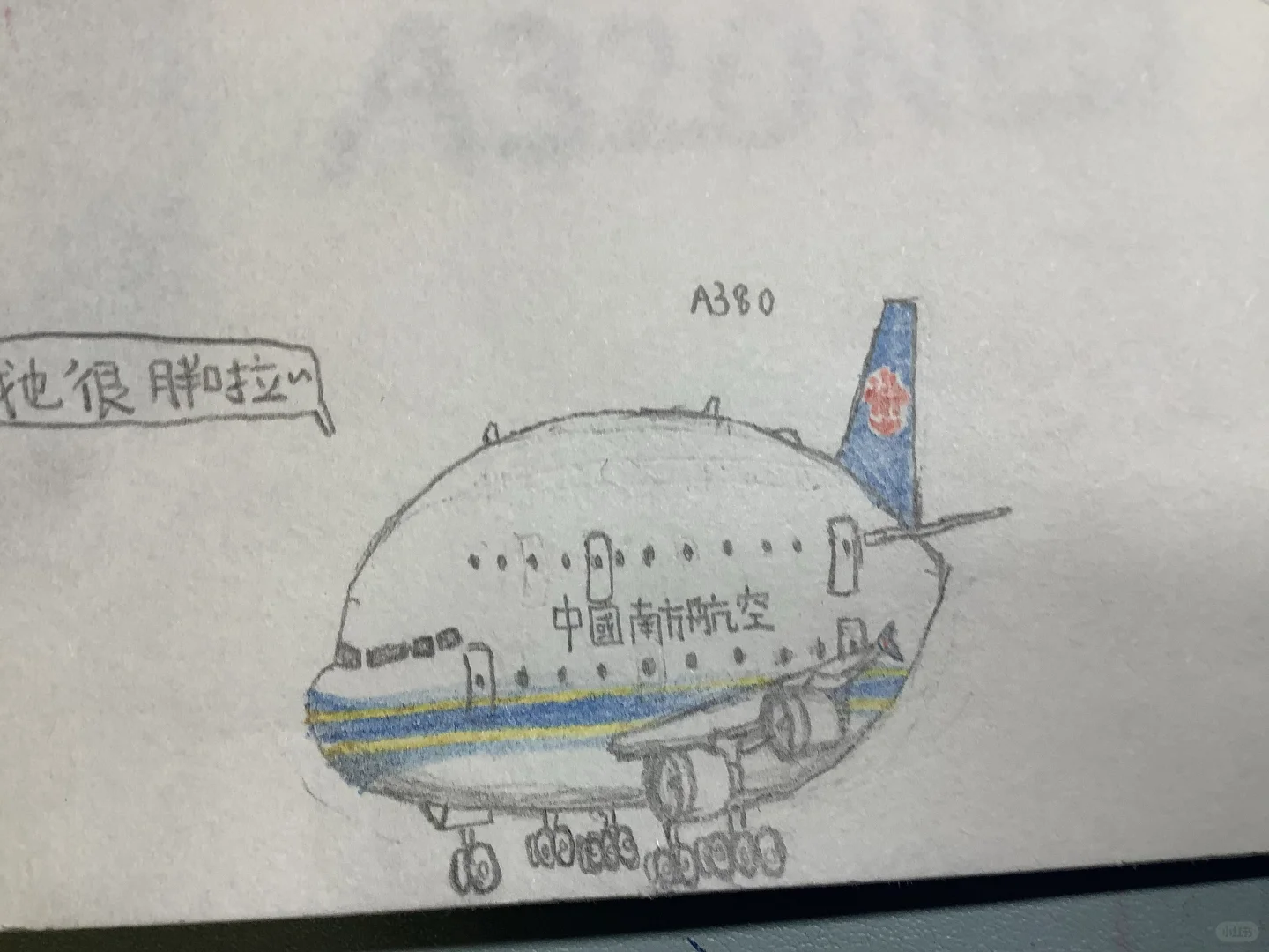 这么多飞机幼仔，确定不来看看？