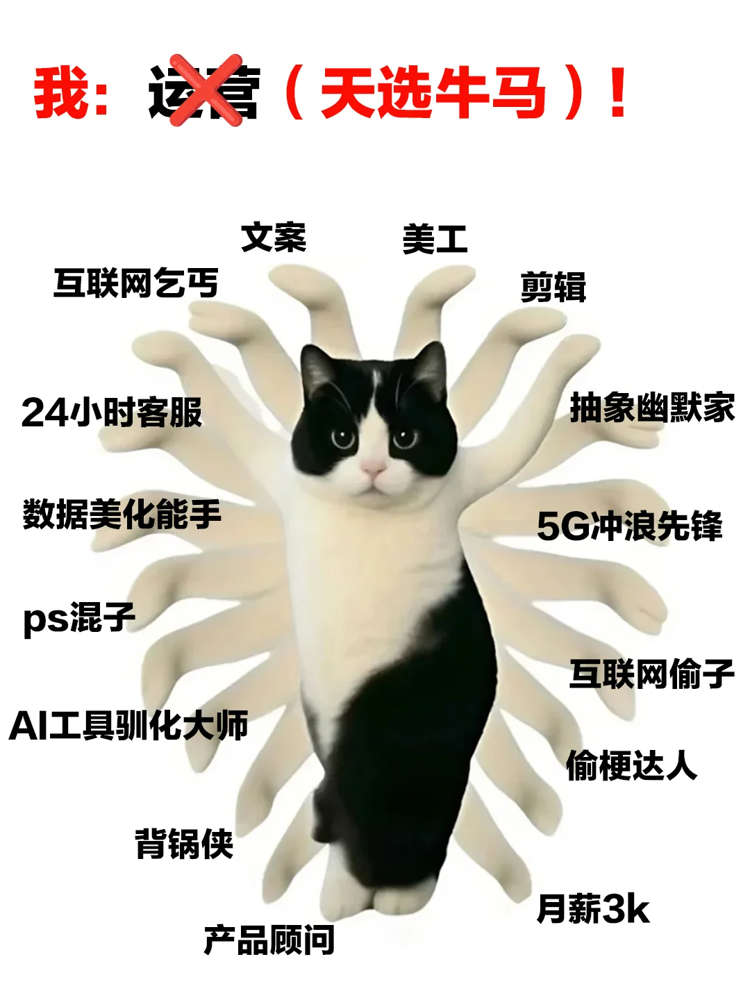 官号交给我 老板您就闹心吧?