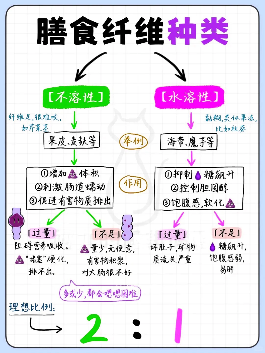 每日营养|膳食纤维补充指南❗️