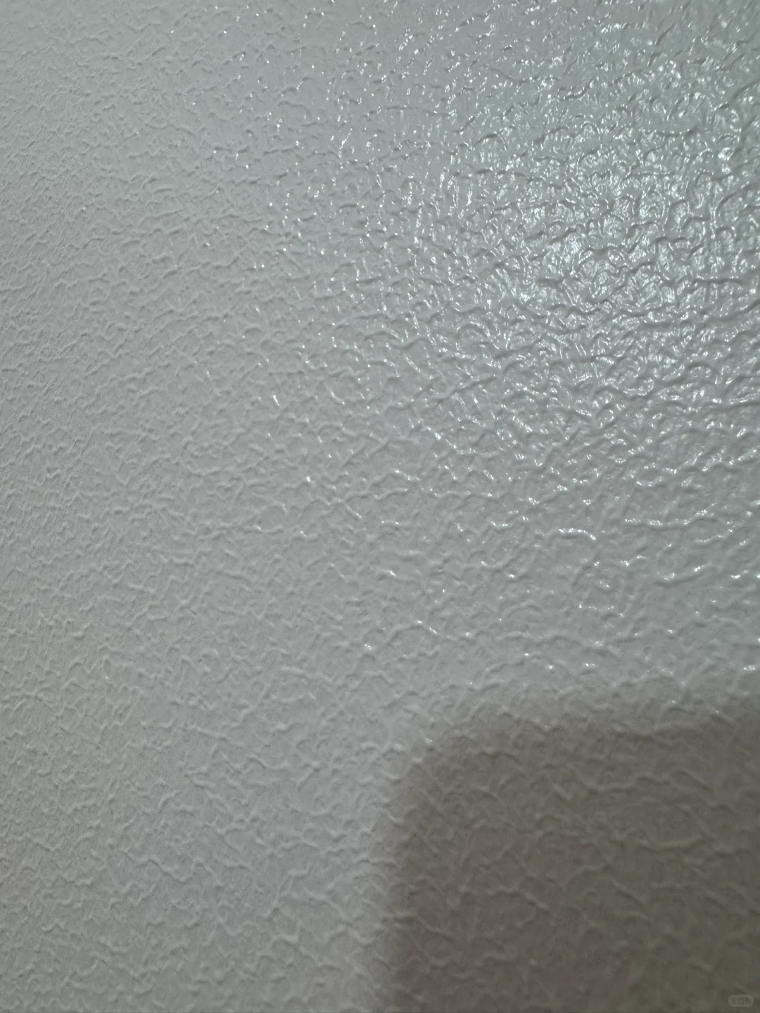 感觉在发光诶 芬琳蛋壳光系列