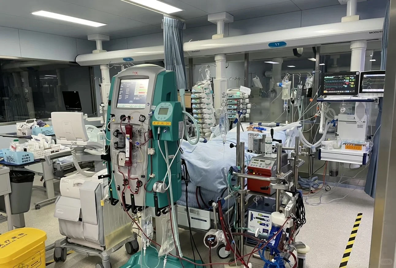 如何选择Zui适合的转运方案呢❓❓