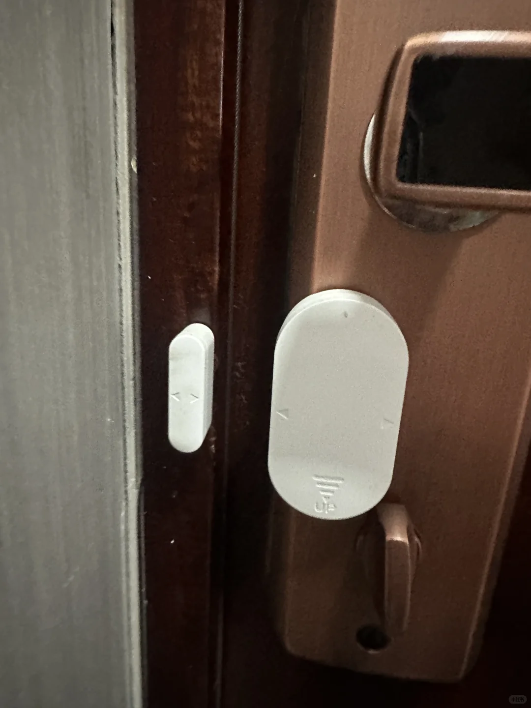 家有双狮，安全无忧!守护你的每一刻安宁