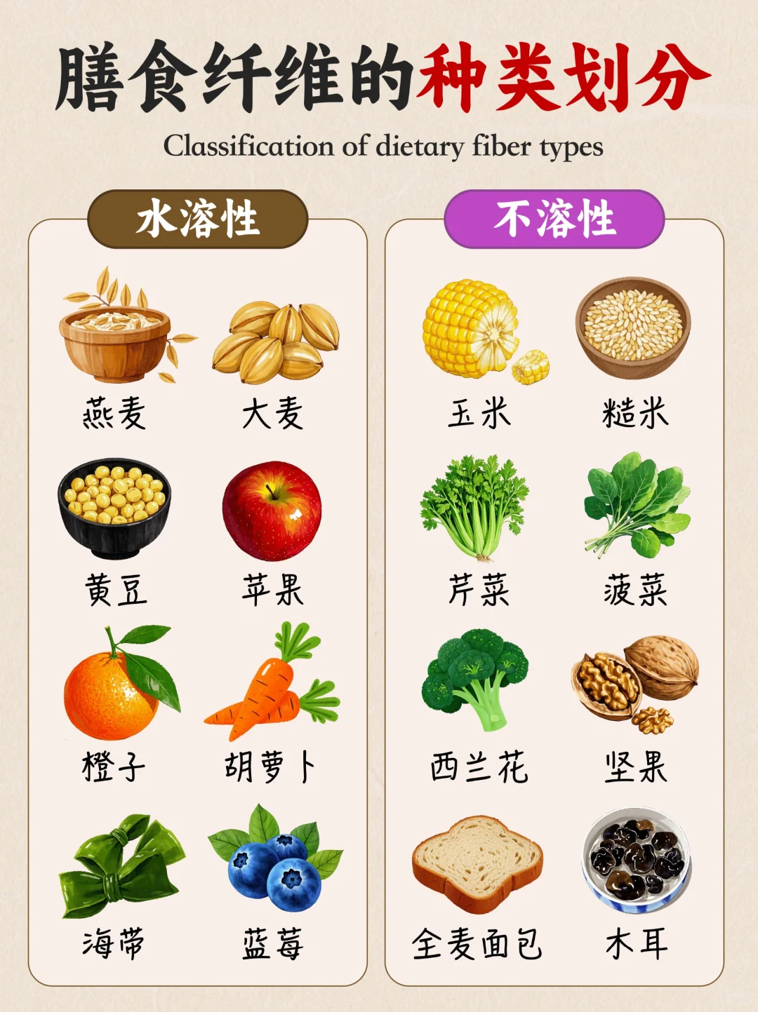 ??不顺畅! 多补充膳食纤维~