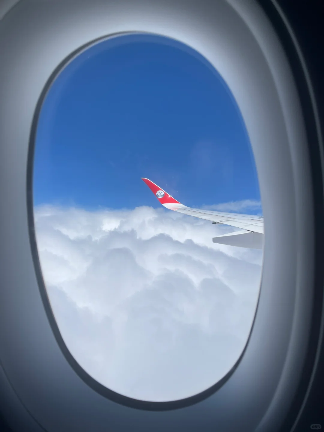 飞行日记|又是被热情投喂的一次