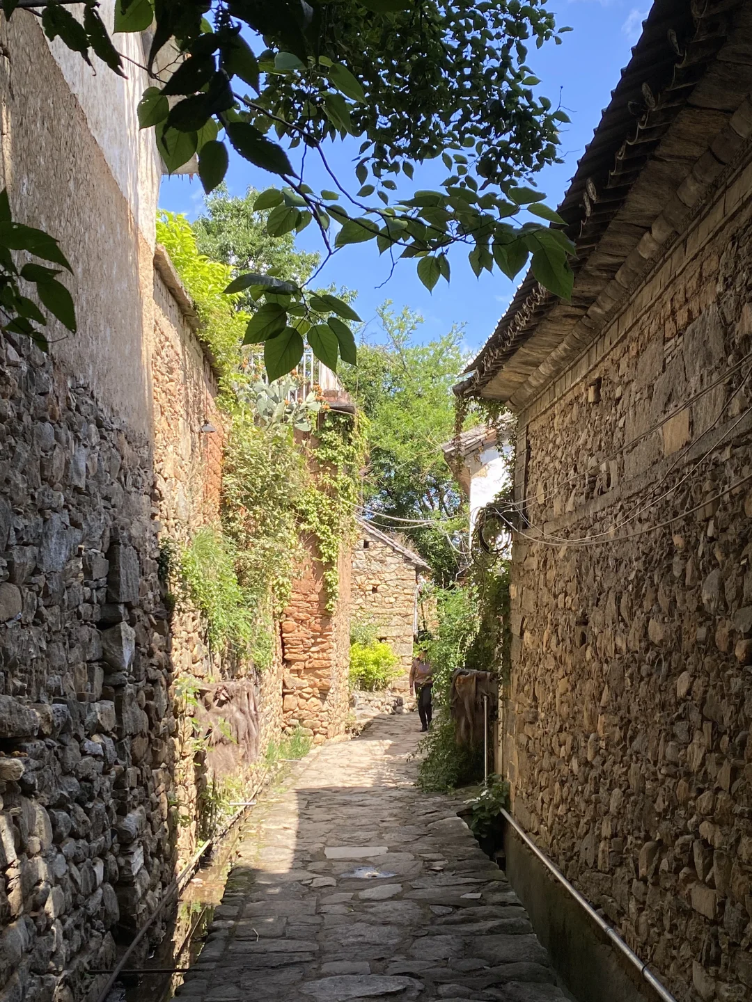 久违的乡村市集