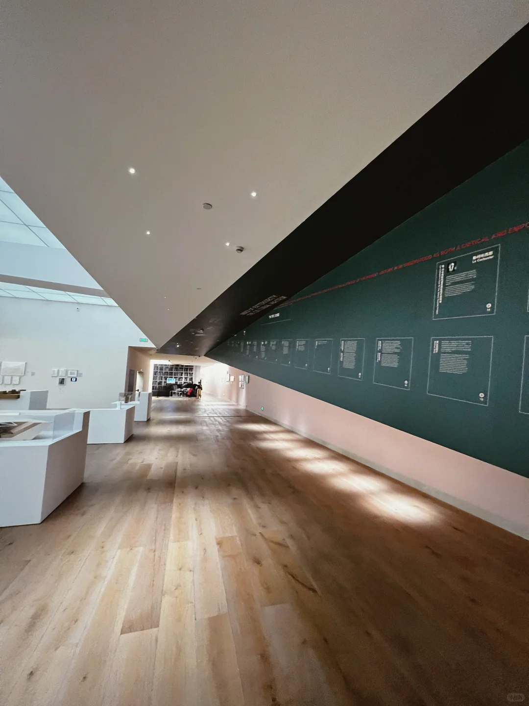 解码埃森曼：形式之外