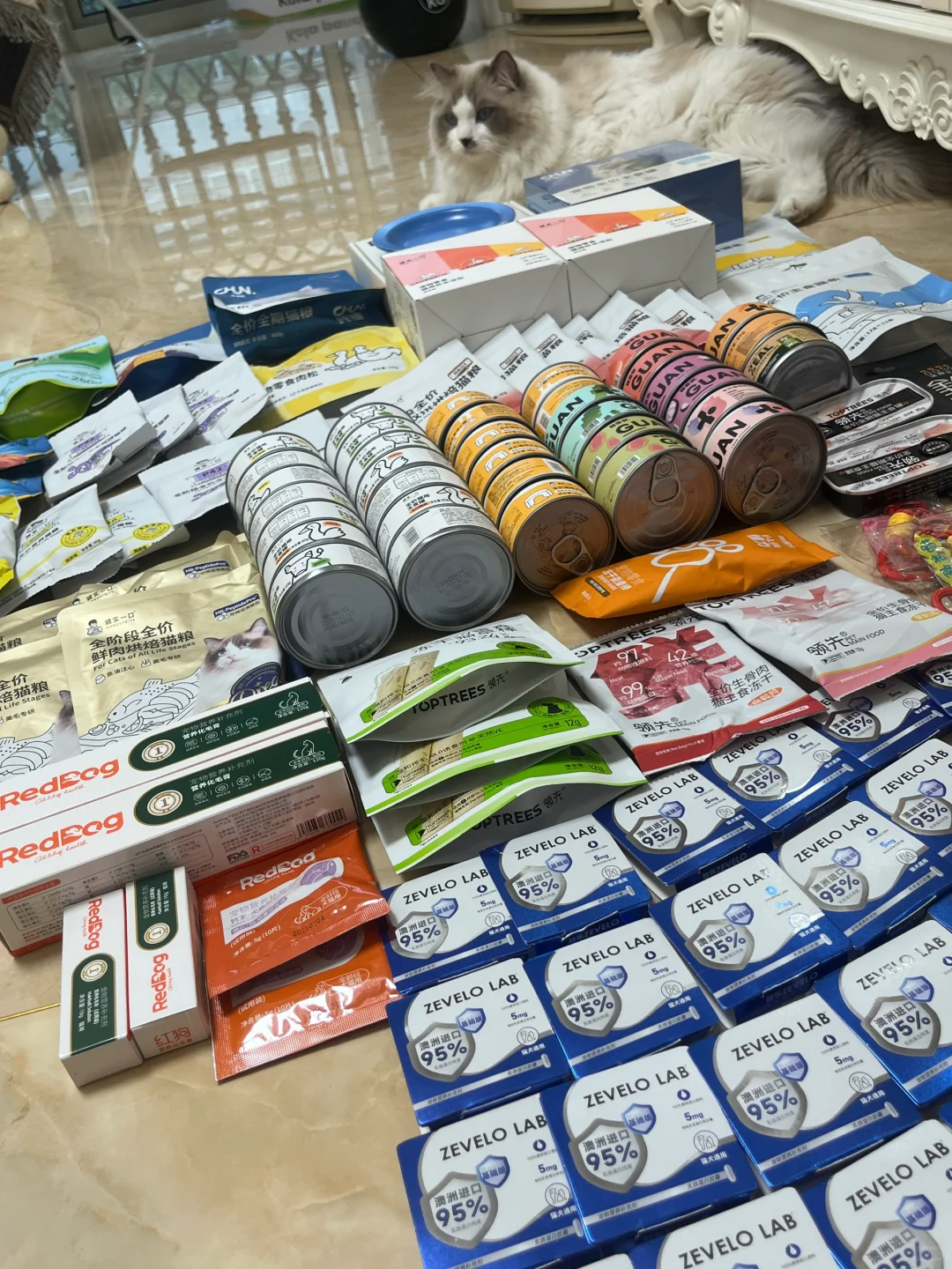 明年大概率不去了！！！2025它博会战绩➕经验