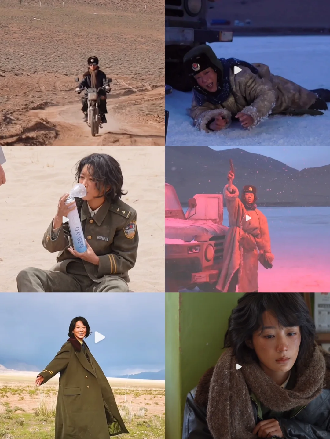 杨紫生命树杀青特辑,敬佩演员们的敬业