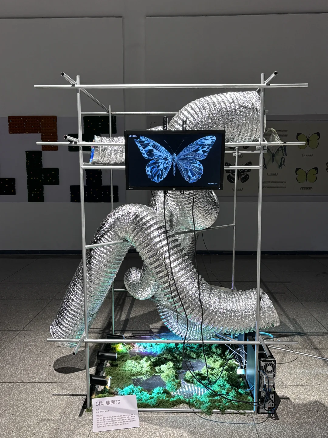 破茧而生，羽化而美｜武汉华农「蝶变」艺术展