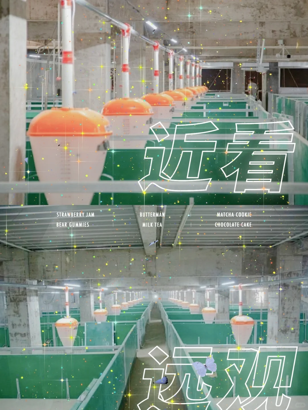 “呕心沥血”整理的养猪设备干货,拿走不谢