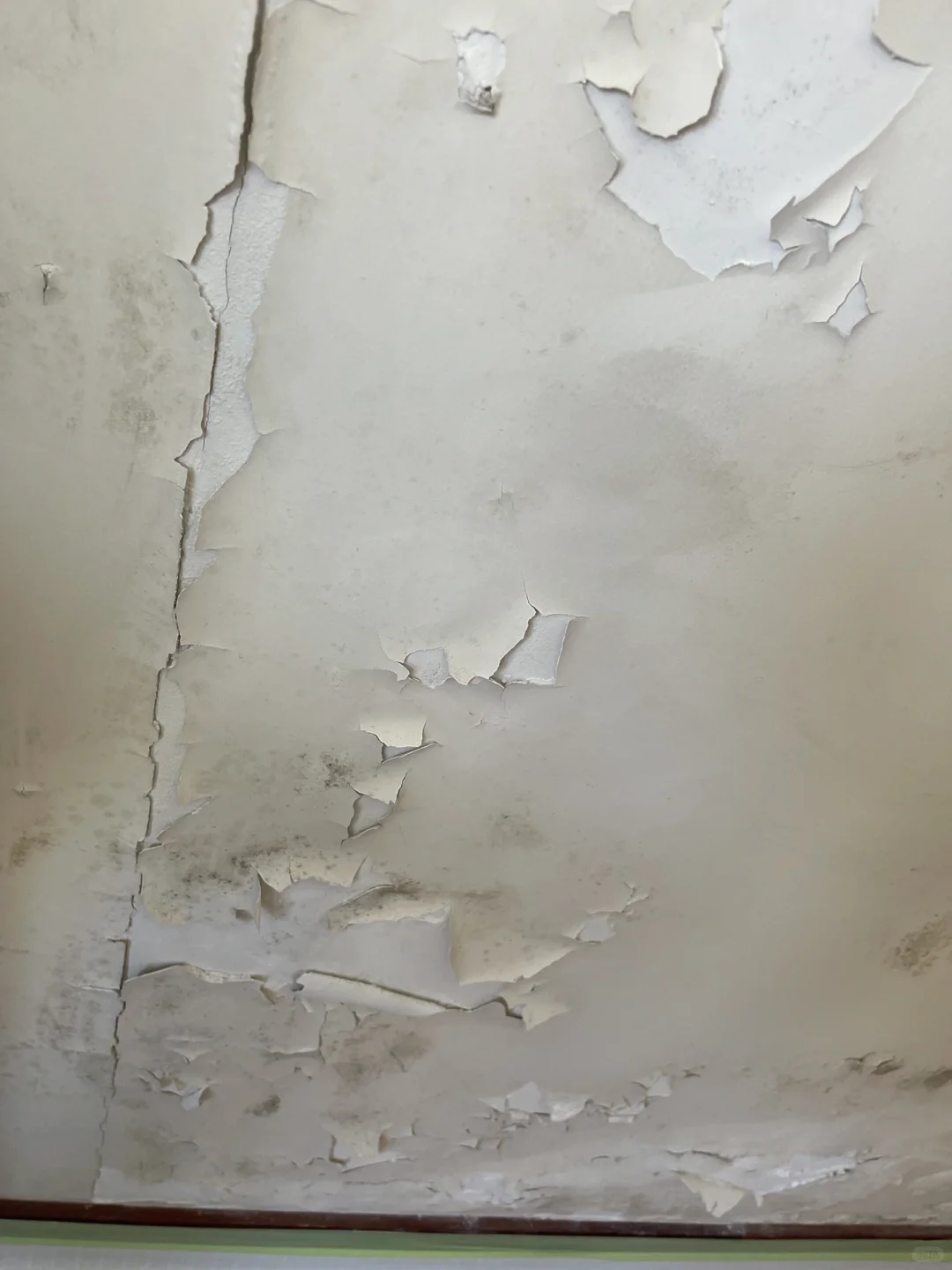 工地打卡08 | 原来！墙面发霉容易住生病