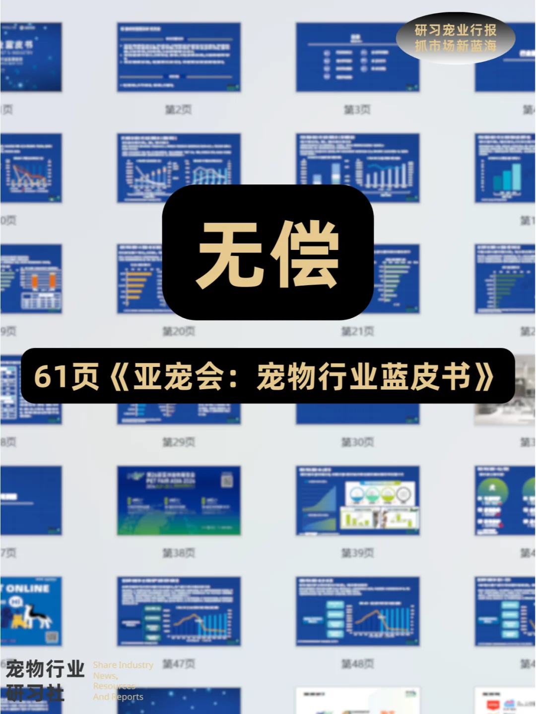 62页| APA亚宠展：中国宠物行业蓝皮书