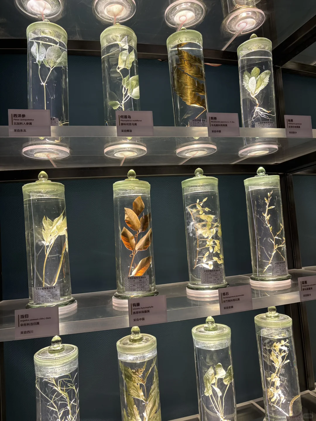 北京博物馆分享第二十九站—北京地热博览馆！