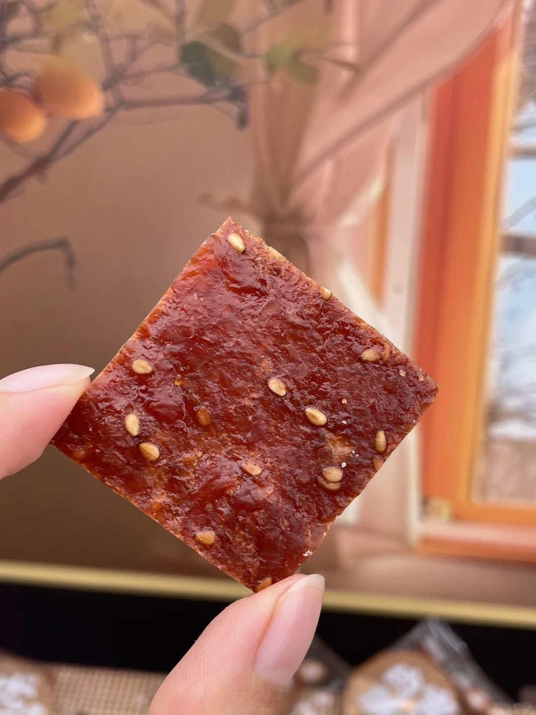 原创高清零食素材提供～蜜汁肉脯‼️