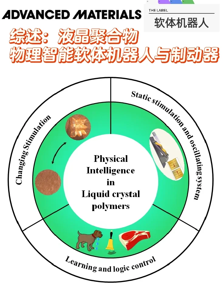 综述：基于液晶聚合物的软体机器人和致动器