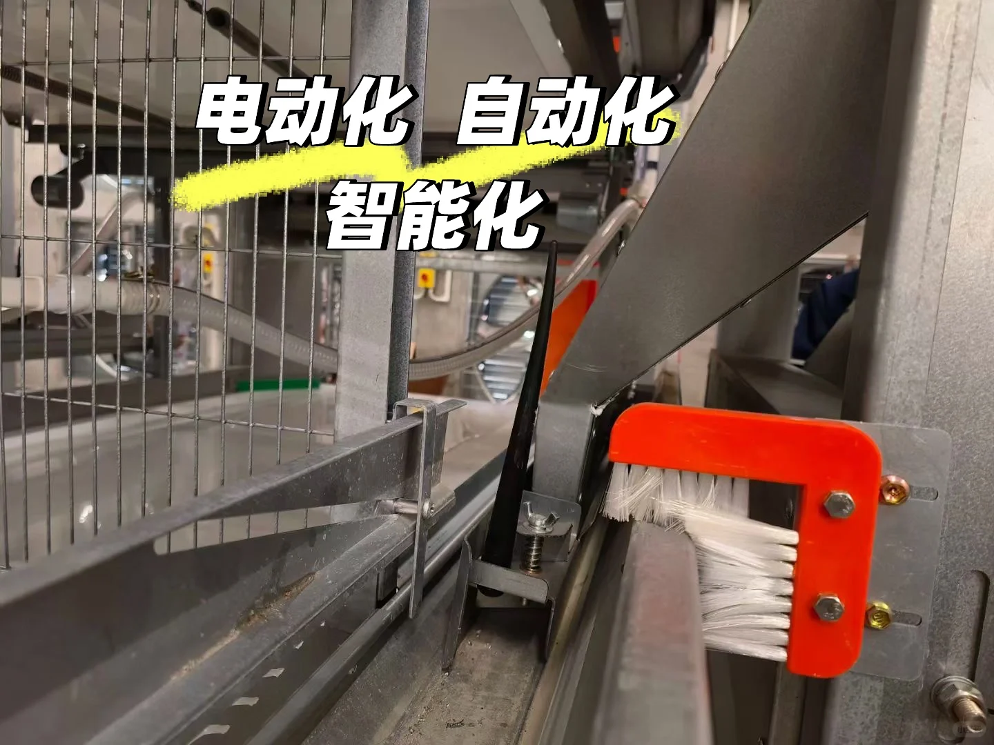 万事俱备 只欠鸡来 年代化养殖设备