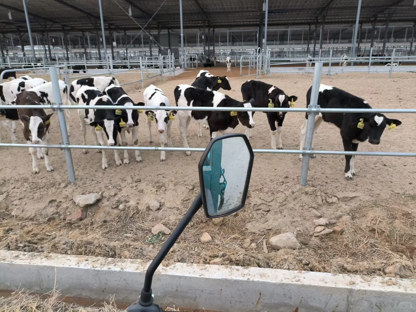 工作找到了 土木转行电工