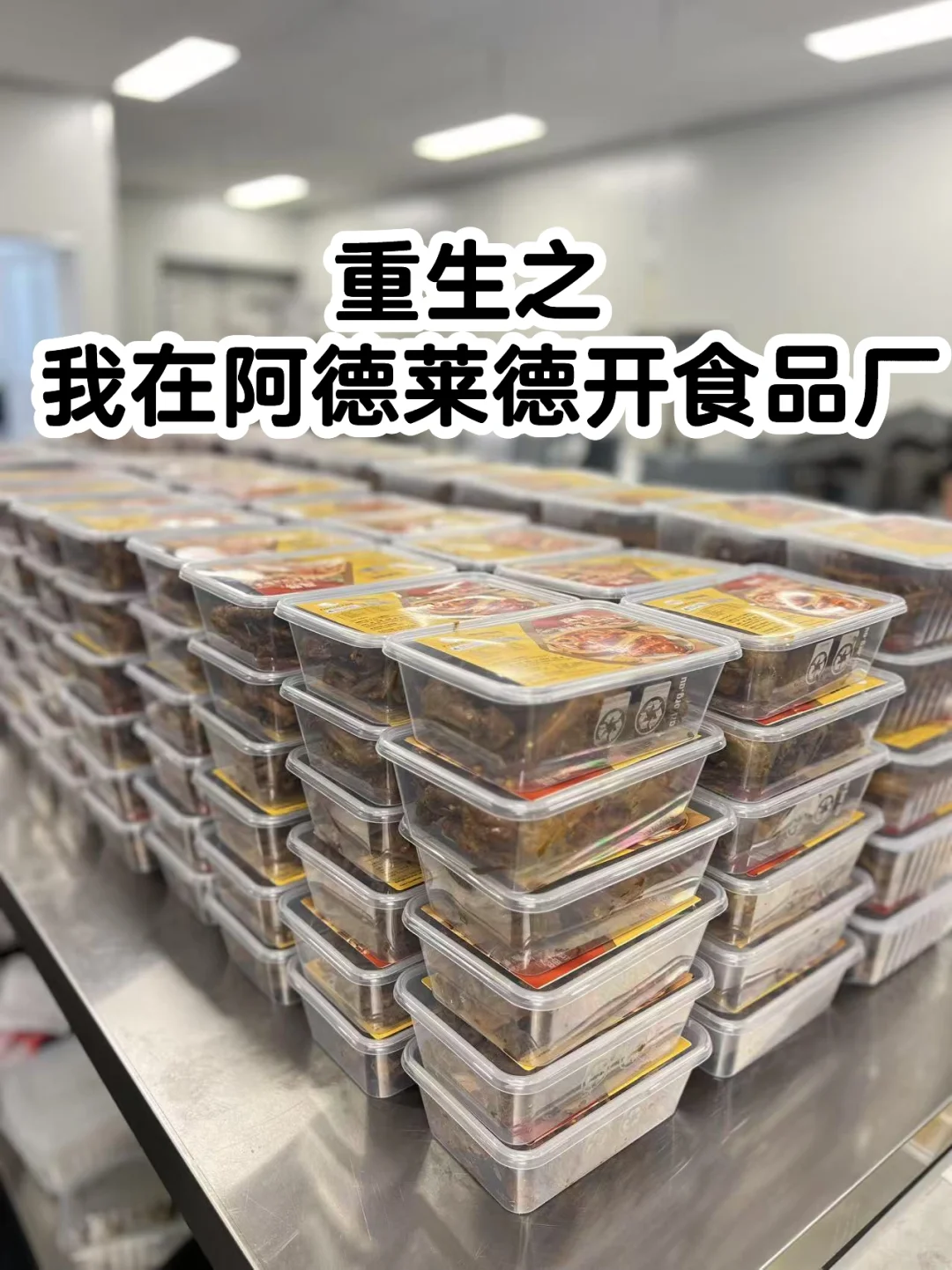 ?【重生之我在阿德莱德开食品厂】?
