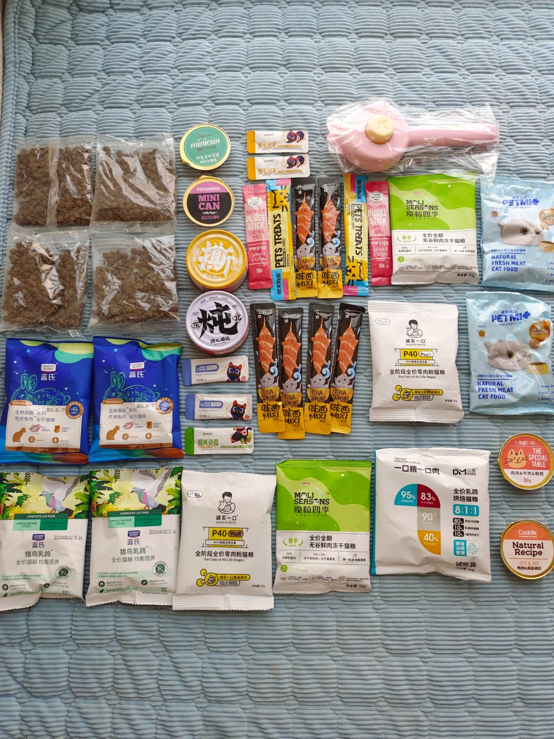 沈阳宠物博览会，避坑and羊毛攻略‼️