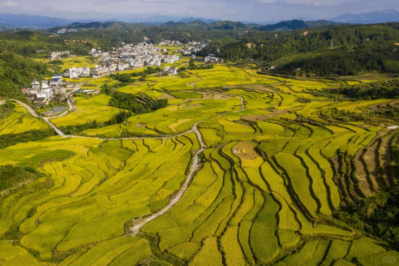 从AI到绿色:探索人工智能如何助力我们地球