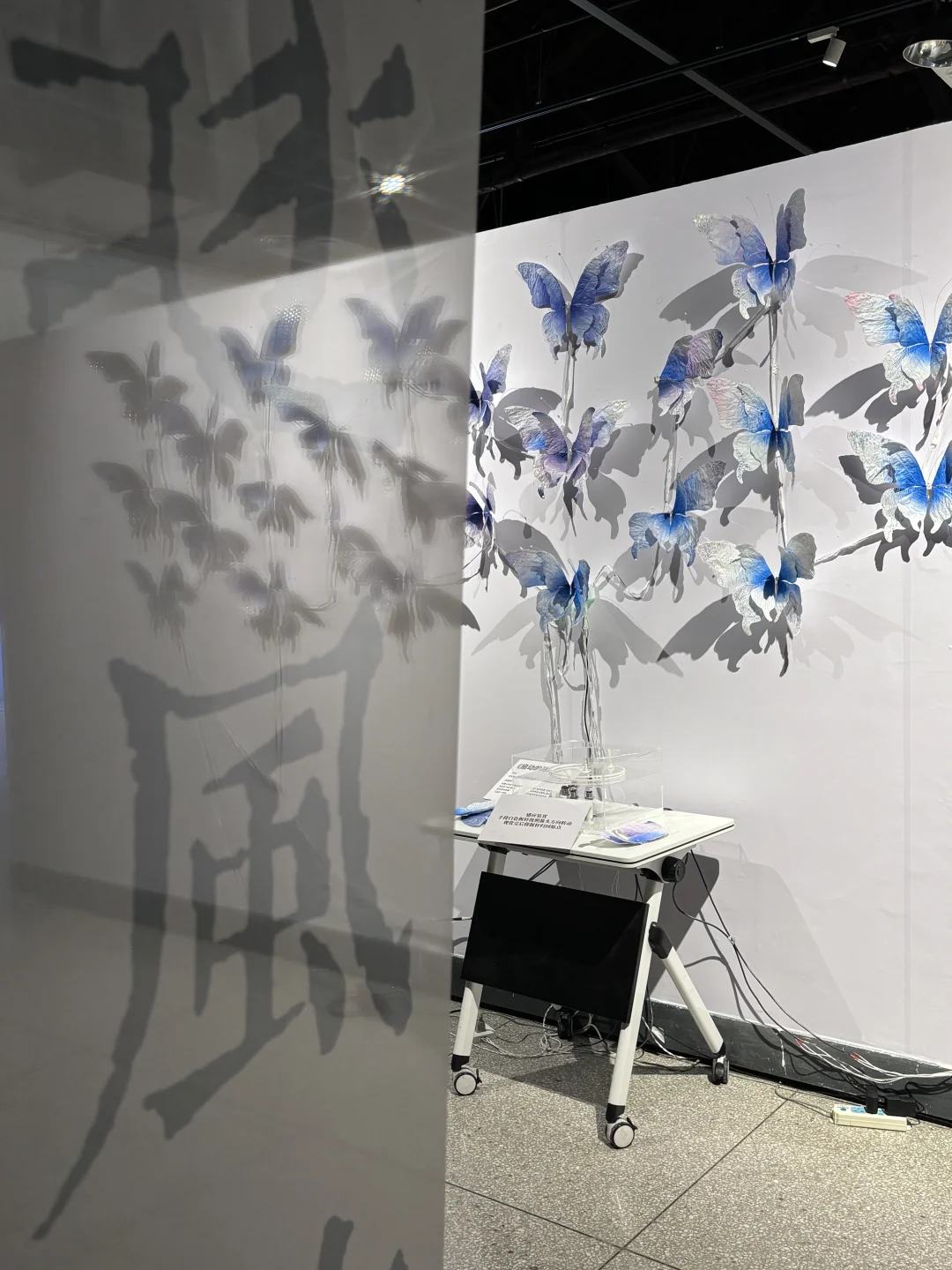 破茧而生，羽化而美｜武汉华农「蝶变」艺术展