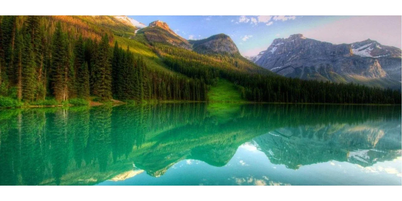 从AI到绿色:探索人工智能如何助力我们地球