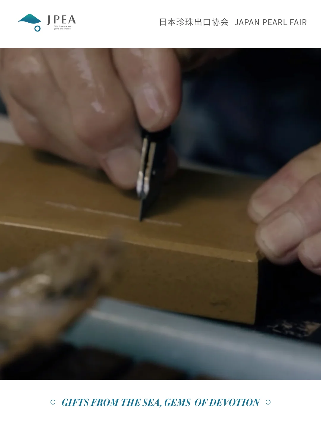 日本珍珠的魅力，从这里开始