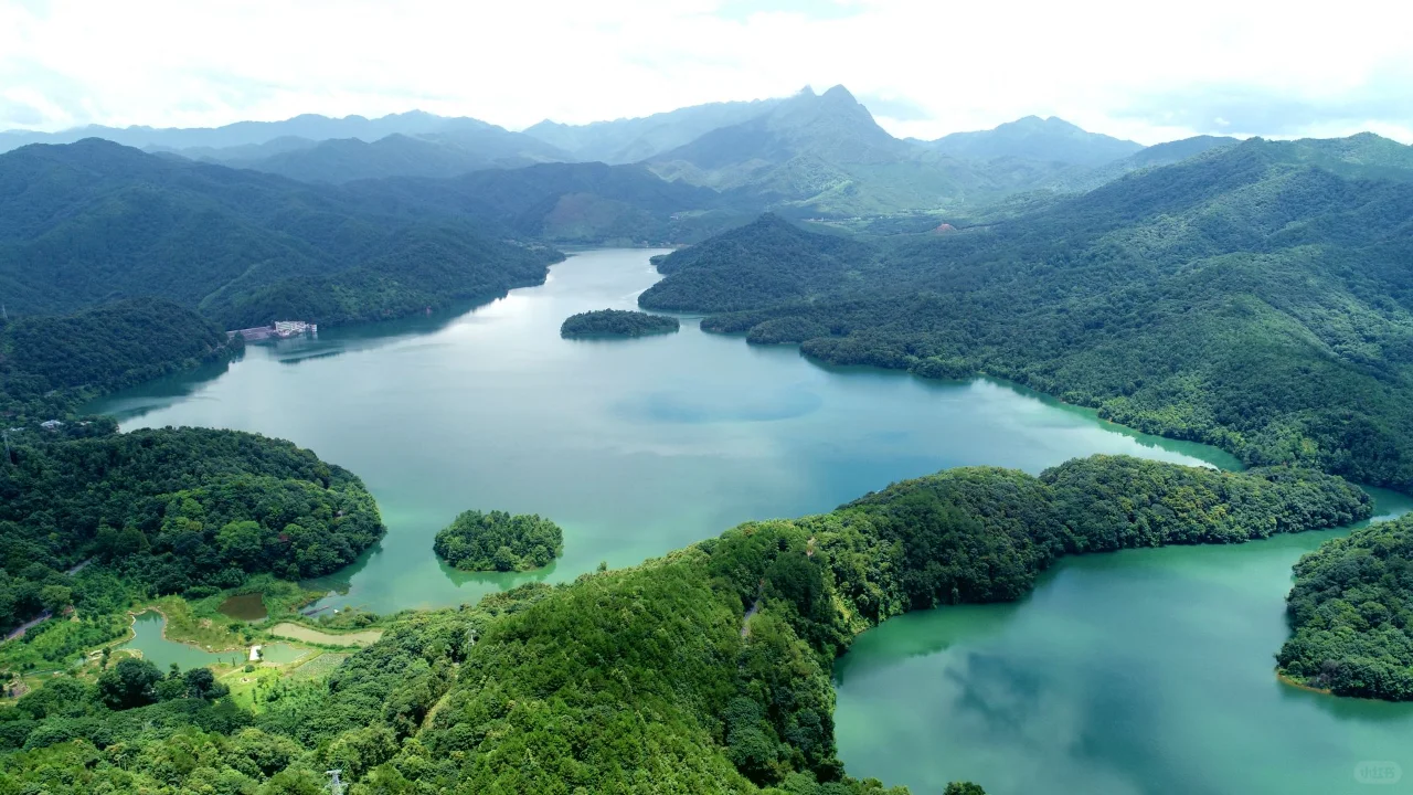 从AI到绿色:探索人工智能如何助力我们地球