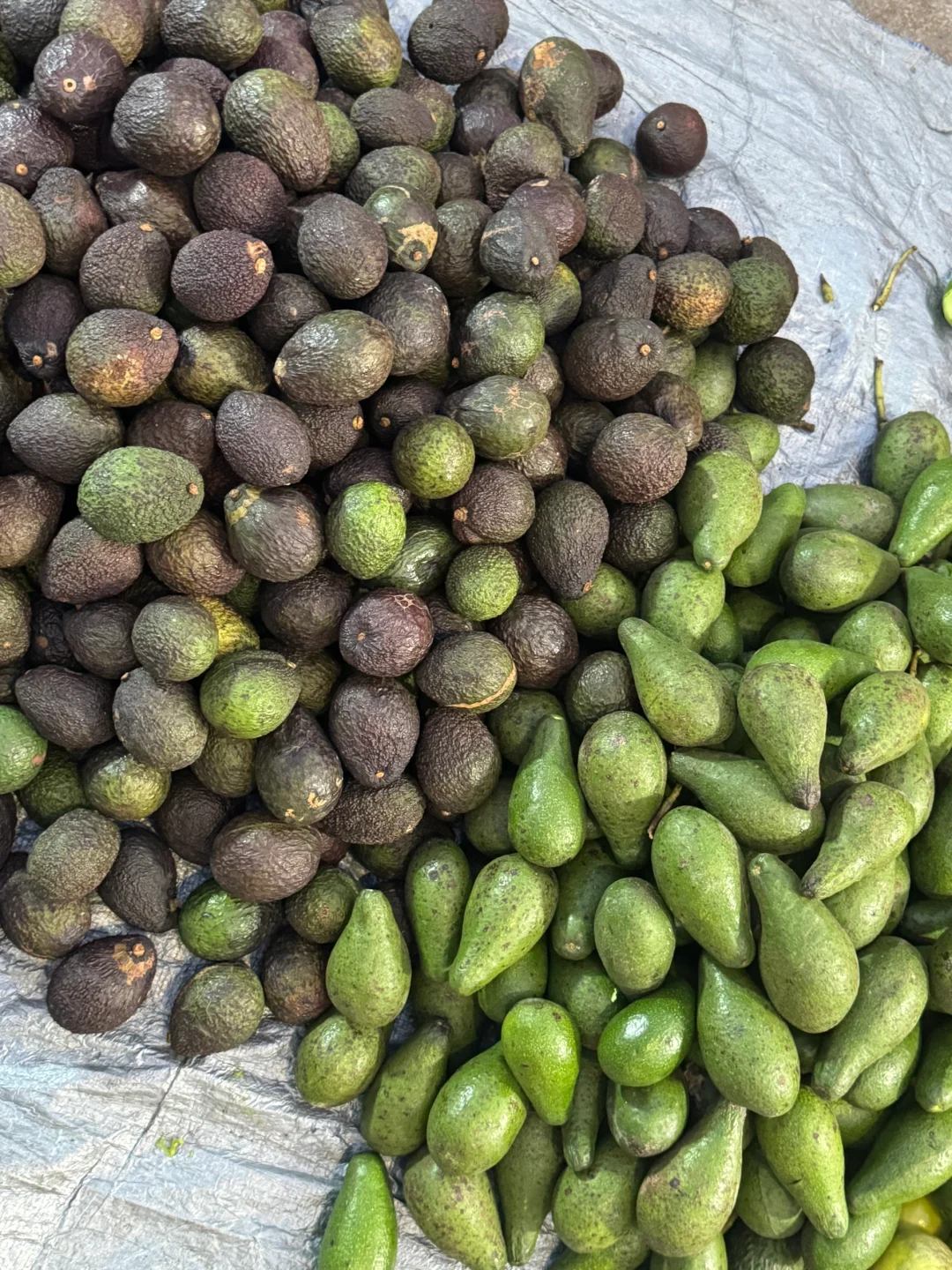 昆明|菜市场有自己的展陈美学