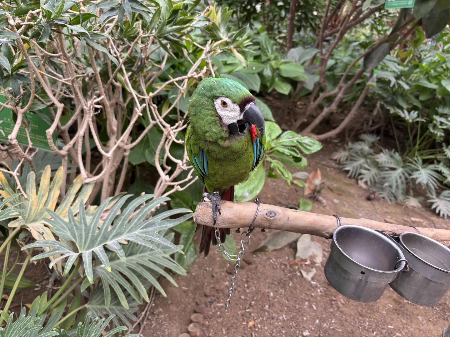 北京博物馆分享第二十九站—北京地热博览馆！