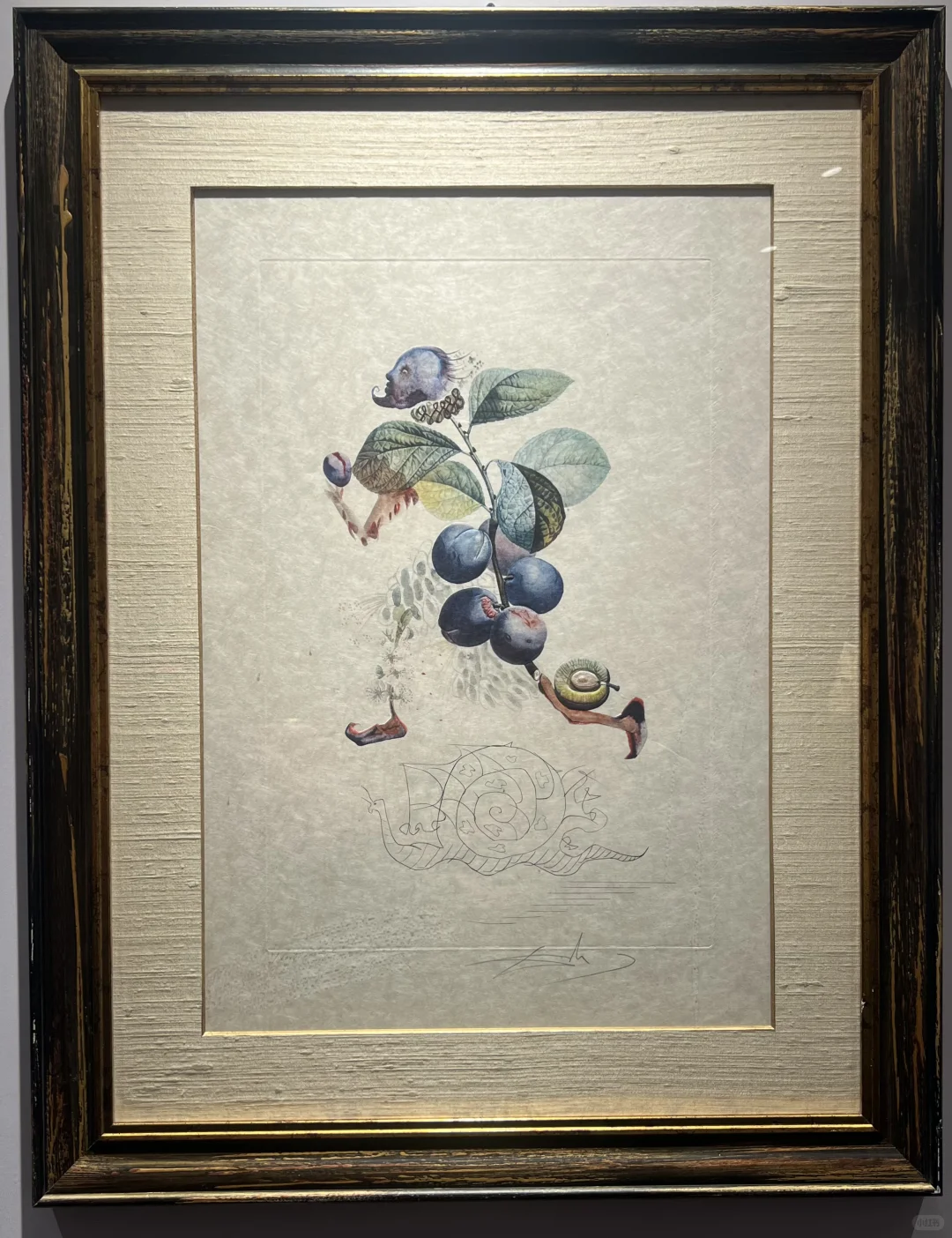 达利的形状｜中国巡展·珠海横琴臻林站