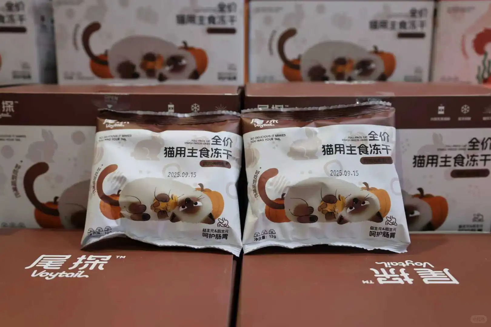 华东宠物展 ｜1D-B4现场太火爆啦！