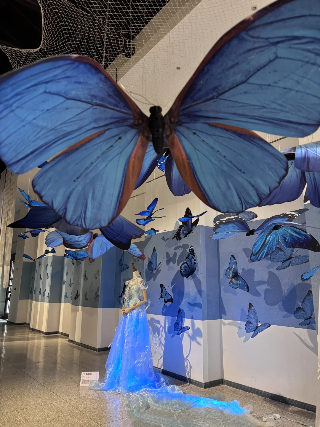 破茧而生，羽化而美｜武汉华农「蝶变」艺术展